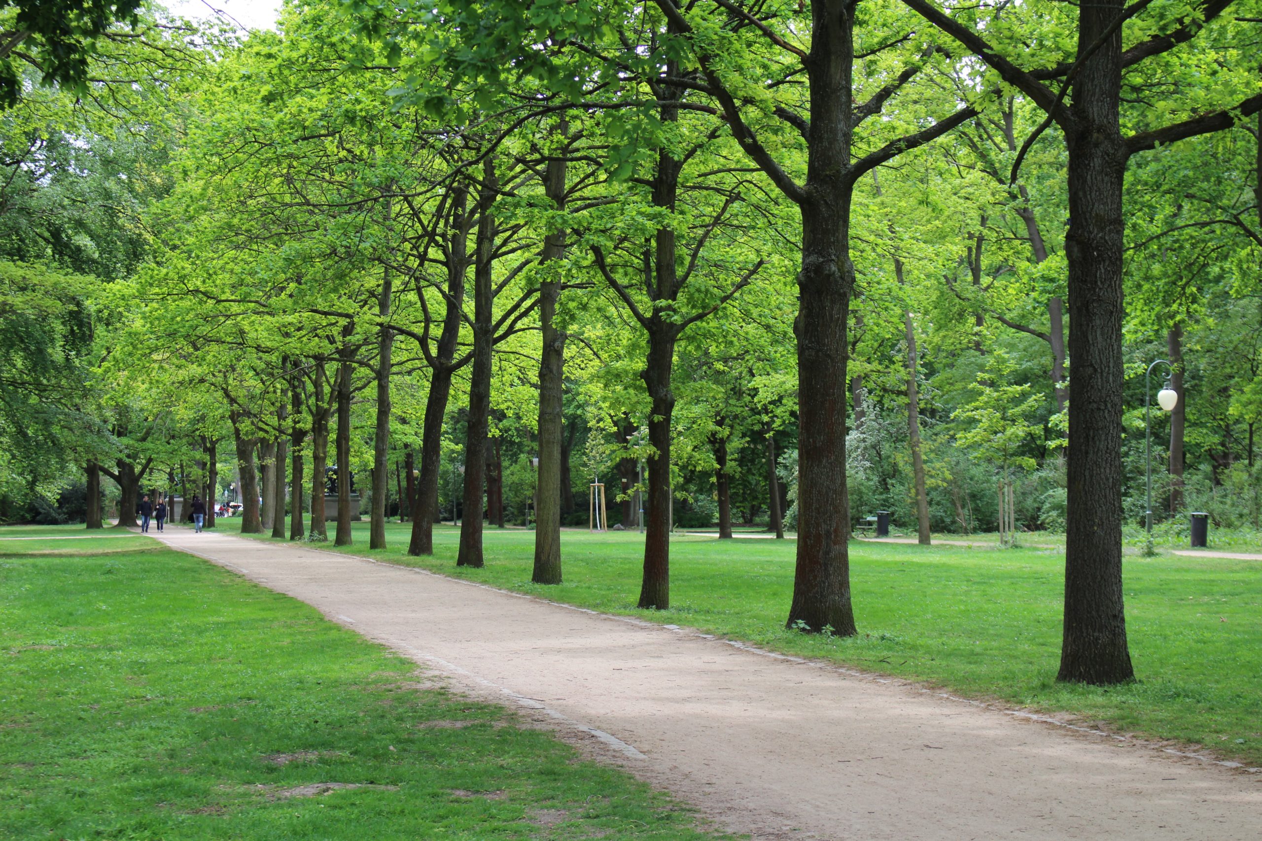FREE Guided Mindfulness Meditation for your iPhone – Listen during lunch in the park